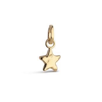 Enamel Stjerne charm i forgyldt sølv - C017G
